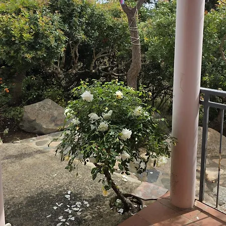Due Matrimoniali Con Bellissima Vista Mare A Сasa de vacaciones Costa Rei